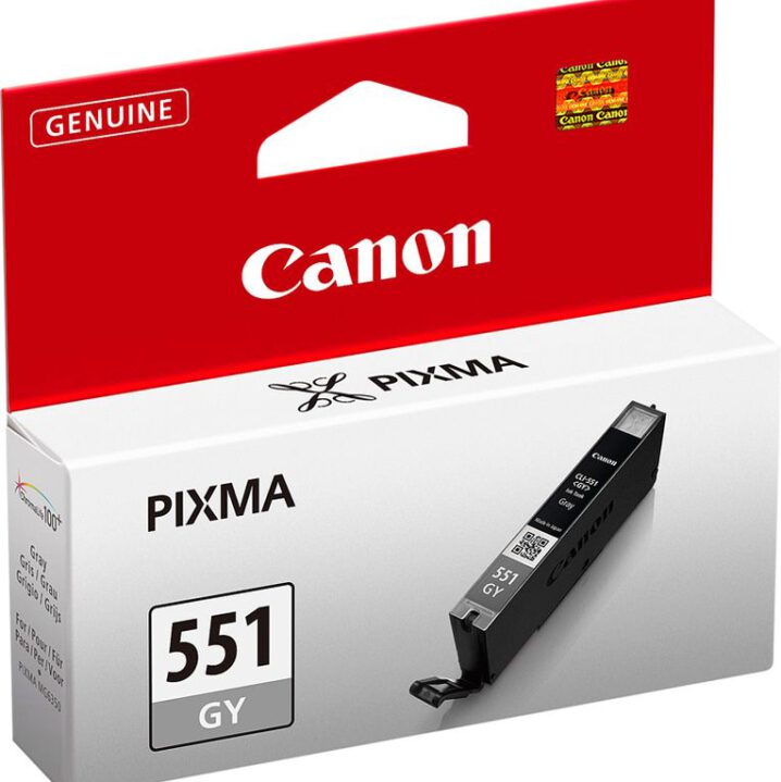 Canon Pixma 551 Grey